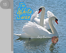 Cover CD The White Swan
